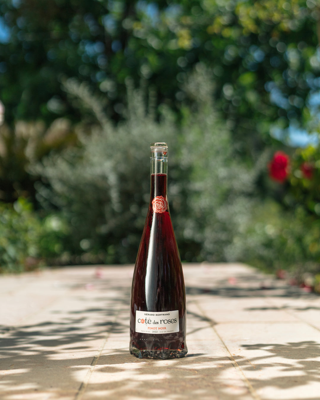 Cote des Roses Pinot noir 2022 Lot 6 Bouteilles 37,5cl