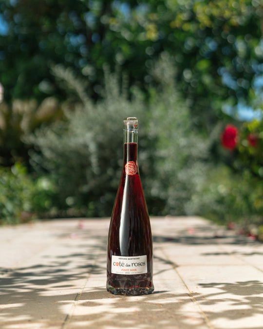 Cote des Roses Pinot noir 2022 37,5cl